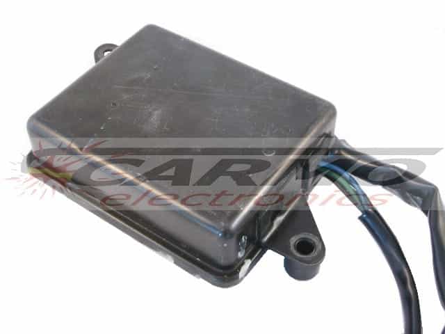 Z1300 (21119-1038, J4T00572, 2X21) CDI igniter black box