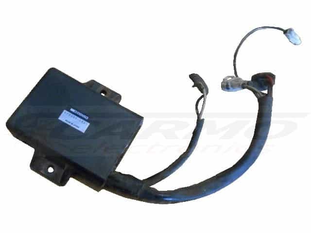 Ski-Doo Summit 670 Rotax igniter ignition module CDI Box (070000-2421)